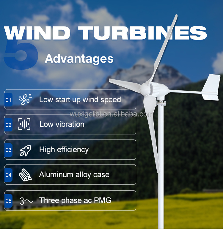 Naier 1kw residential wind power/wind-power generator 200w 300w 1kw 1000 watt tree maglev wind turbines