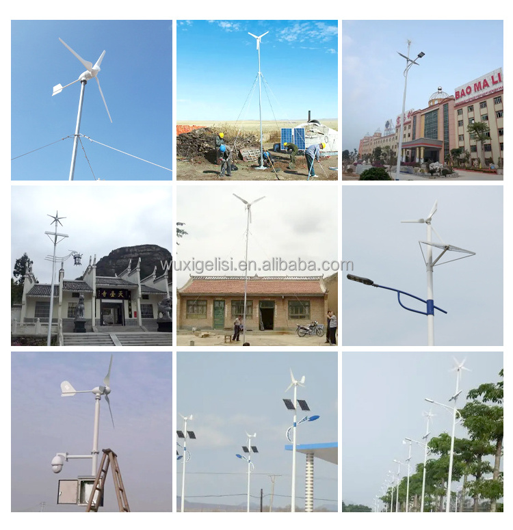 Naier 1kw residential wind power/wind-power generator 200w 300w 1kw 1000 watt tree maglev wind turbines