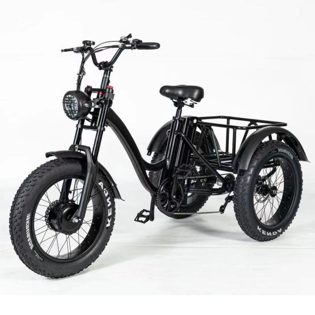 Electric Trike 750W Motor Fat Tire 3 Wheel E Bike Tricycle Three Wheels Adult Cargo Electric Bike With Basket