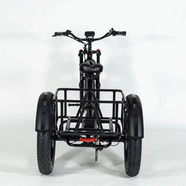 Electric Trike 750W Motor Fat Tire 3 Wheel E Bike Tricycle Three Wheels Adult Cargo Electric Bike With Basket