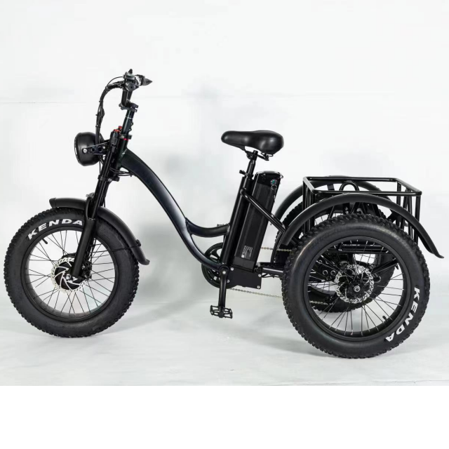 Electric Trike 750W Motor Fat Tire 3 Wheel E Bike Tricycle Three Wheels Adult Cargo Electric Bike With Basket