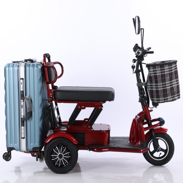 Hot sale fashionable  three wheels scooter electric tricycle  with 2 seats ckd cheaper mobility e motos scooters