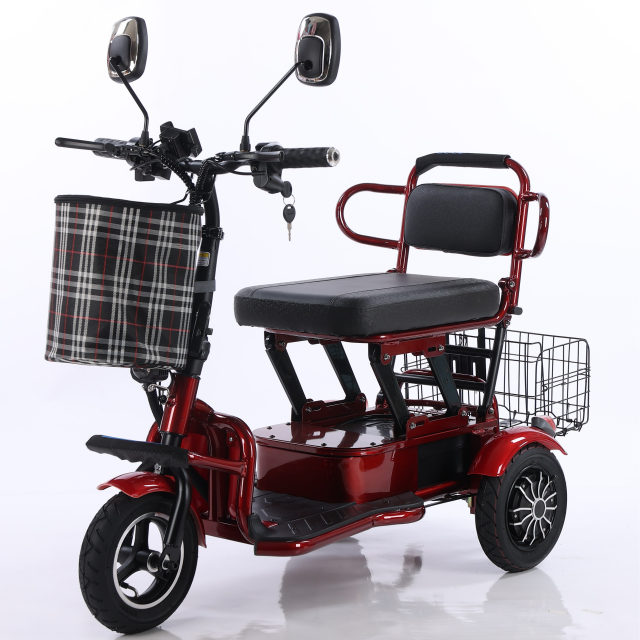 Hot sale fashionable  three wheels scooter electric tricycle  with 2 seats ckd cheaper mobility e motos scooters