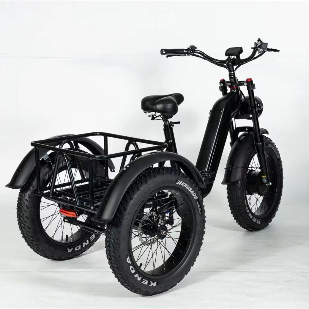 Hot Sell Handicapped Mobility 3 Wheel Fat Tire Electric Tricycle Electric Cargo Trike Electric Pedicab