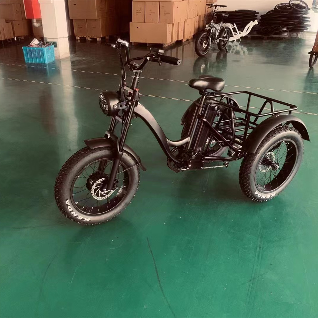 Hot Sell Handicapped Mobility 3 Wheel Fat Tire Electric Tricycle Electric Cargo Trike Electric Pedicab