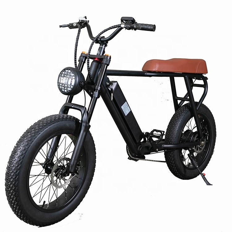 Factory Cheap Price Teenager Fashion Modern 2 Wheel Fat Tire Electric Bicycle