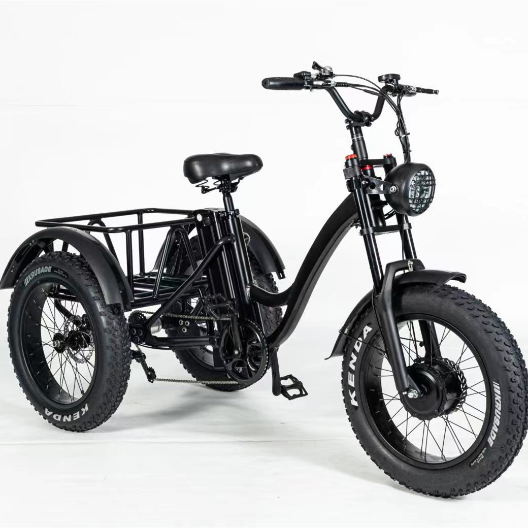 Hot Sell Handicapped Mobility 3 Wheel Fat Tire Electric Tricycle Electric Cargo Trike Electric Pedicab