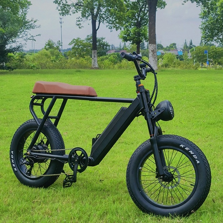 Factory Cheap Price Teenager Fashion Modern 2 Wheel Fat Tire Electric Bicycle