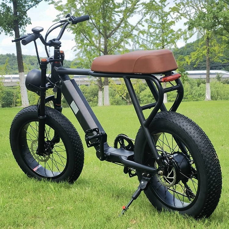 Factory Cheap Price Teenager Fashion Modern 2 Wheel Fat Tire Electric Bicycle