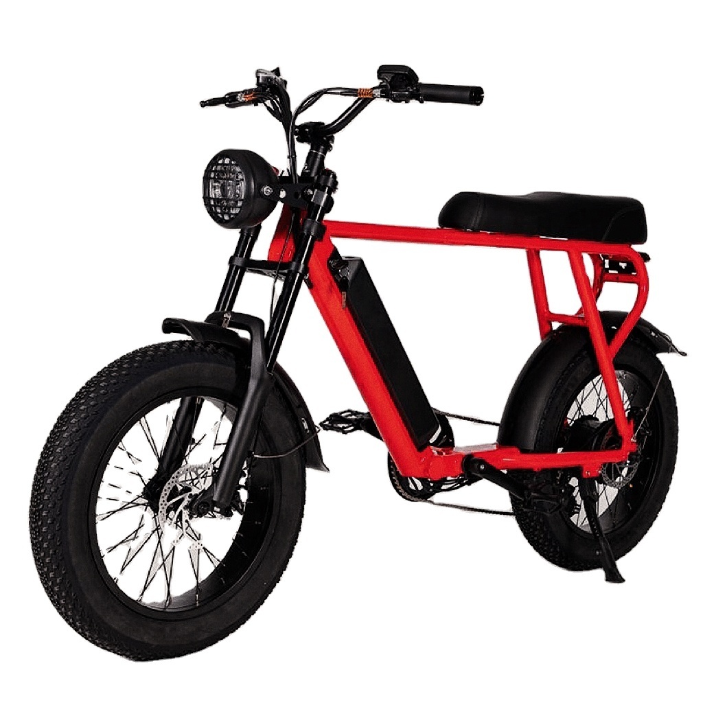 Factory Cheap Price Teenager Fashion Modern 2 Wheel Fat Tire Electric Bicycle