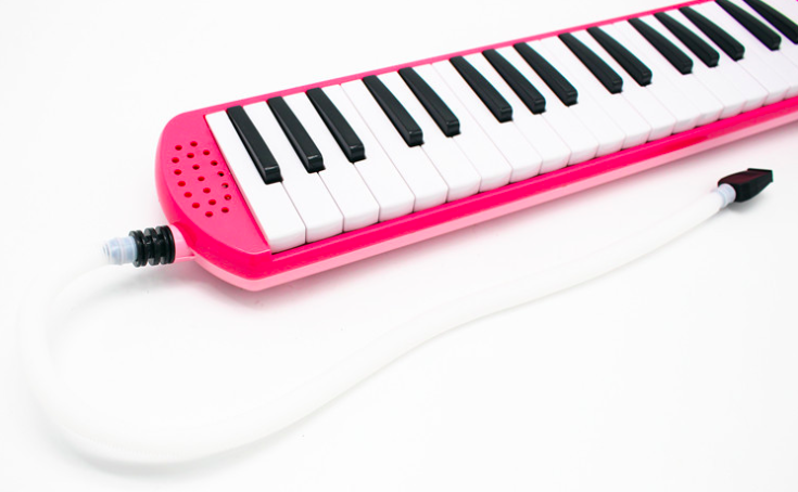 Hard Case 32 Key Musical Instrument Melodica