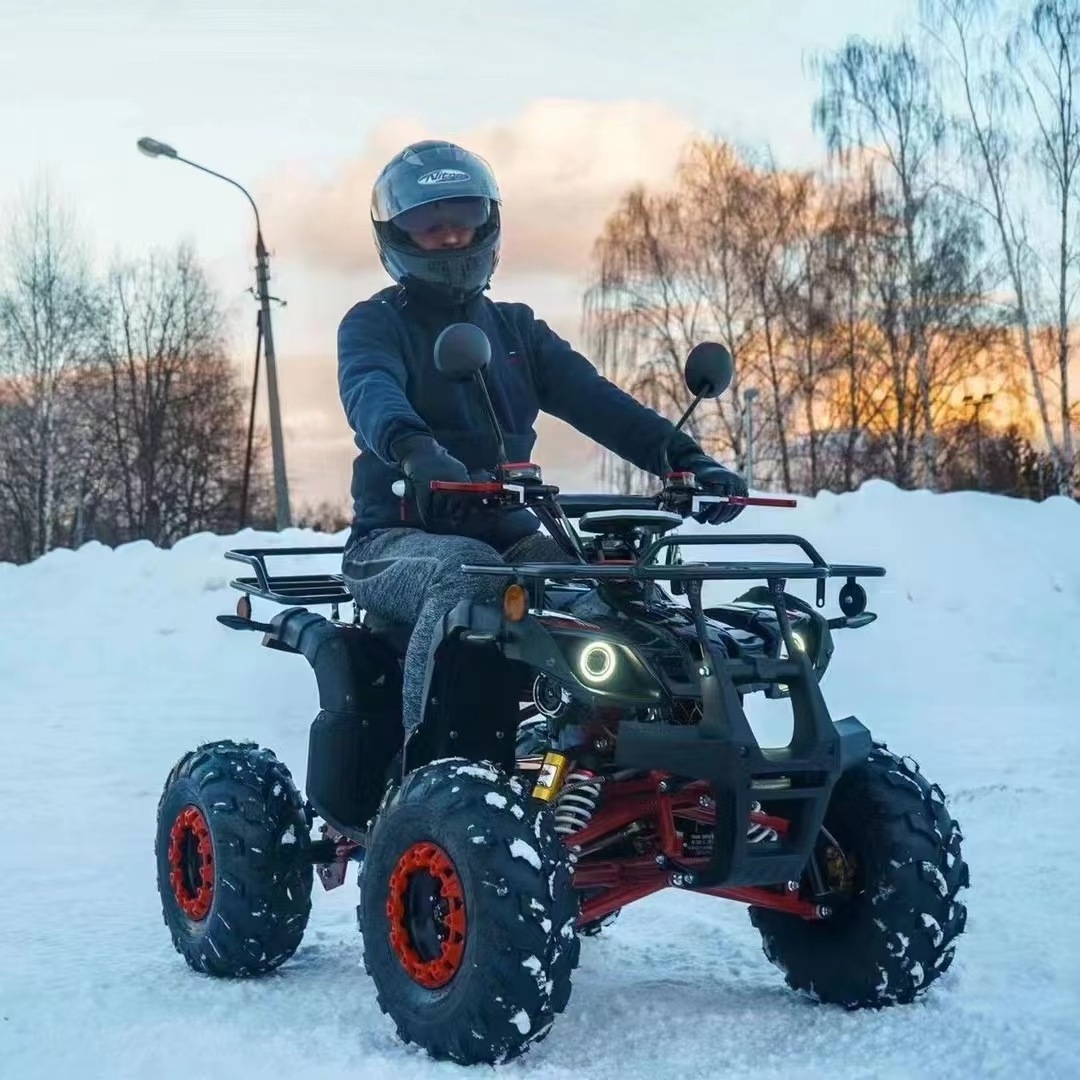 2023 Two-Man 250cc Kart All-Terrain Four-Wheel Snow ATV with Stepless Four-Wheel Drive for Off-Road Adventures in Scenic Spots