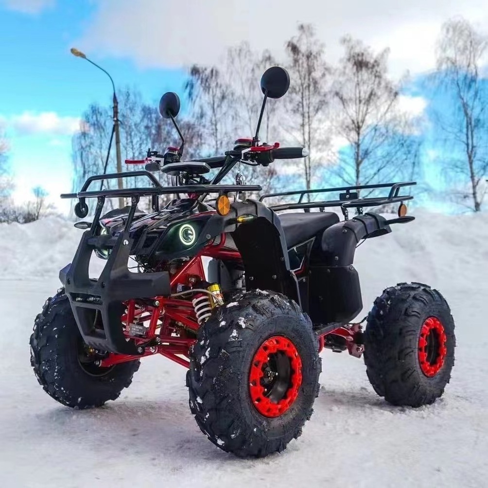 2023 Two-Man 250cc Kart All-Terrain Four-Wheel Snow ATV with Stepless Four-Wheel Drive for Off-Road Adventures in Scenic Spots