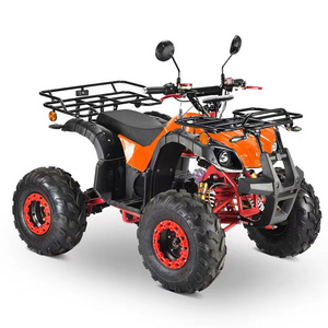 2023 Two-Man 250cc Kart All-Terrain Four-Wheel Snow ATV with Stepless Four-Wheel Drive for Off-Road Adventures in Scenic Spots