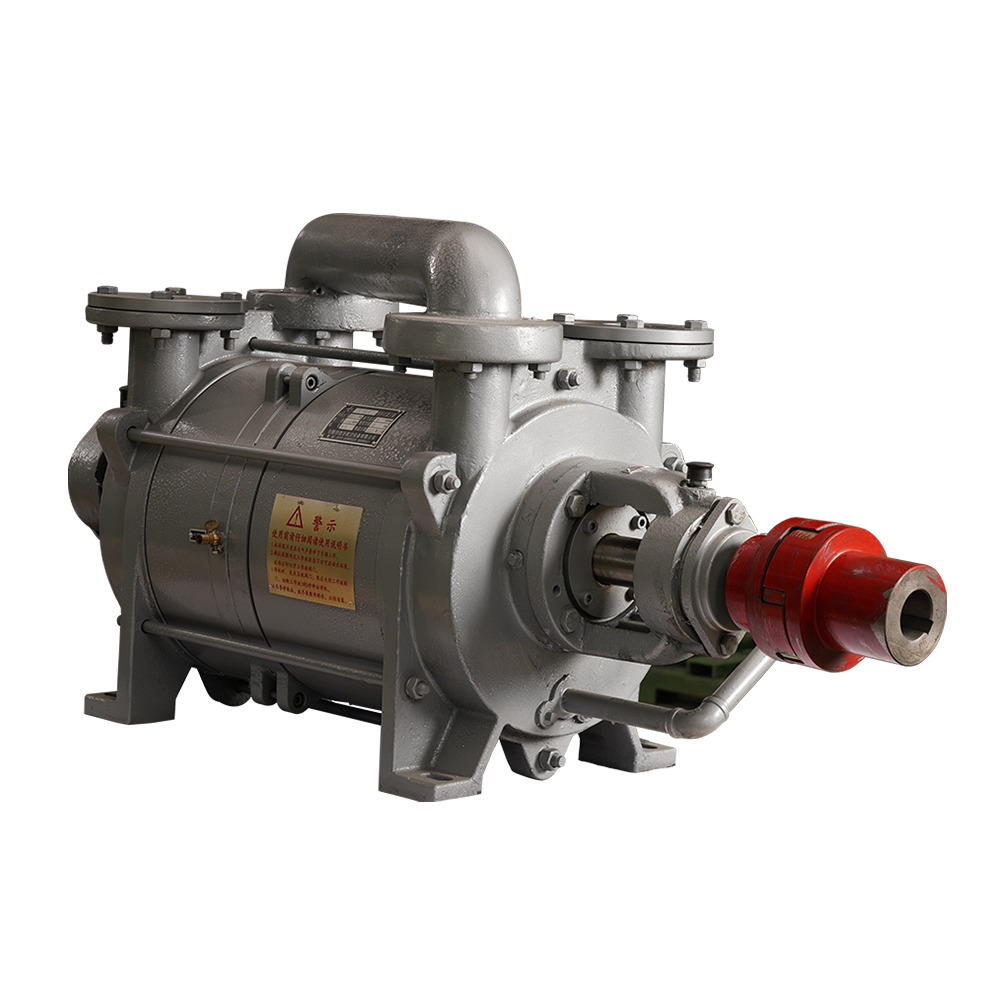 2SK Series 6 m3/min Pumping Speed Full-auto Industrial System Filter Water Ring Vacuum Pump