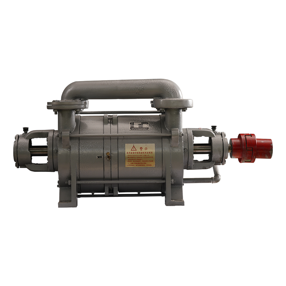 2SK Series 6 m3/min Pumping Speed Full-auto Industrial System Filter Water Ring Vacuum Pump