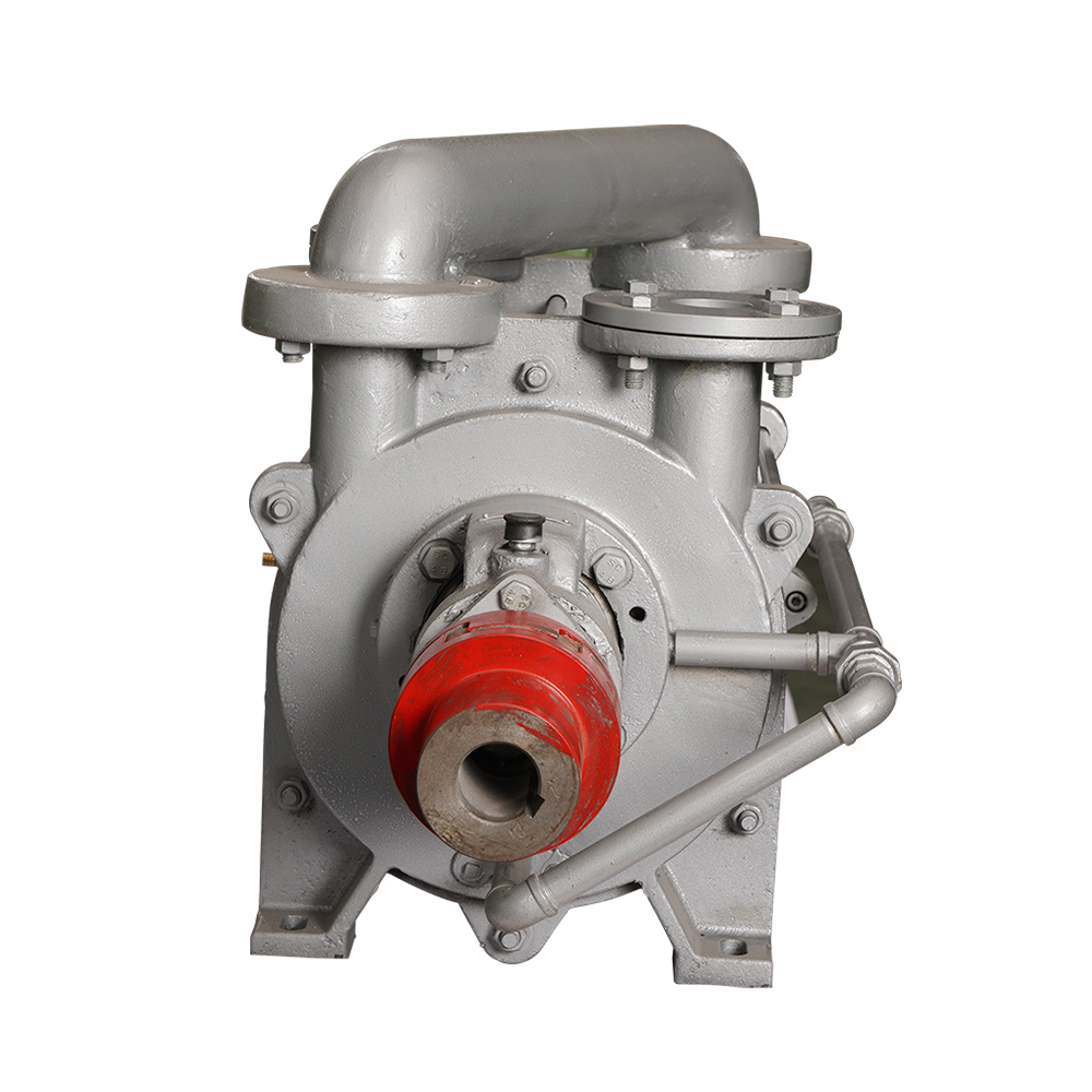 2SK Series 6 m3/min Pumping Speed Full-auto Industrial System Filter Water Ring Vacuum Pump