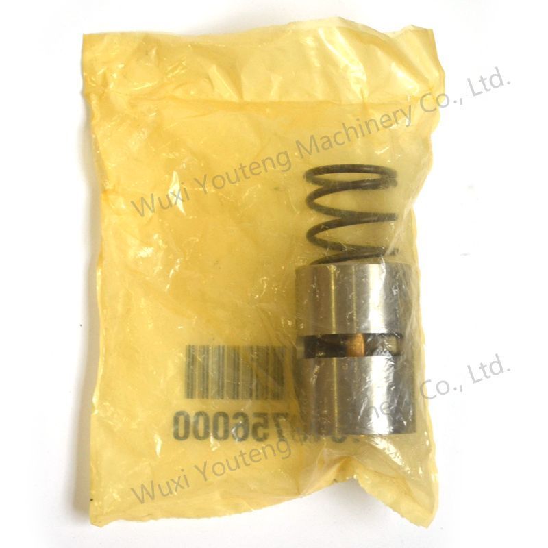 1619756000 Atlas Copco Spare Parts Air Compressor Part Thermostatic Valve Core Kit