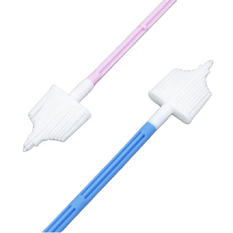 factory Medical Disposable Gynecological Examination Vaginal Cleaning Brush Cervical Cytology Brush