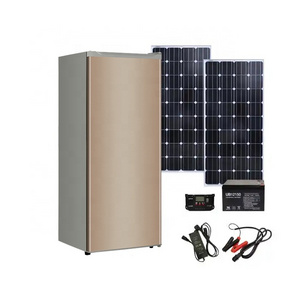 DC 24V Fast Cold ICE Water Upright Deep Freezer with Solar System