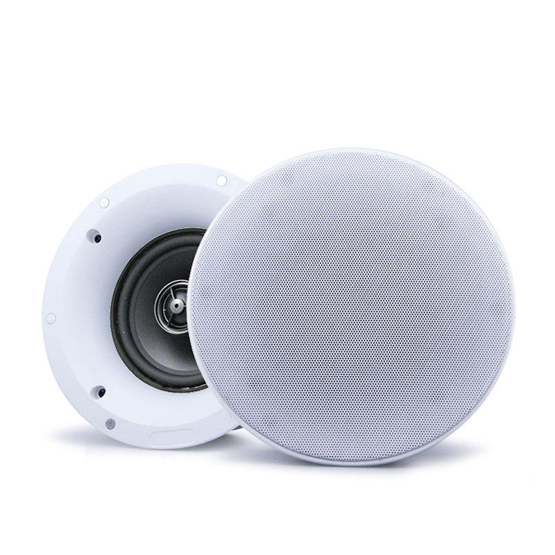 speaker supplier manufacture cheap price with 3 inches mini unit ceiling speaker for home theater hotel