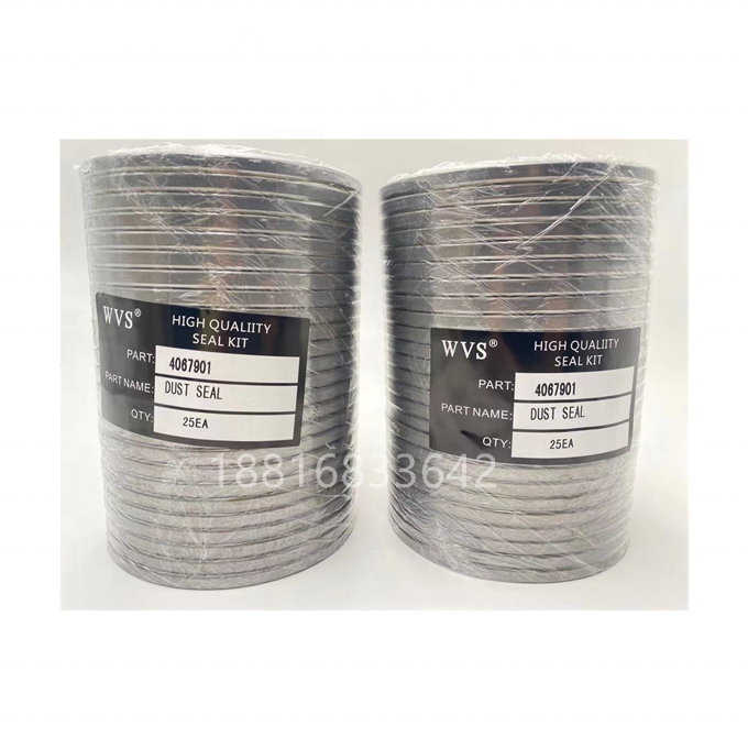 High quality DLI Wiper Seal VAY 4067901 Dust Seal for hydraulic seal