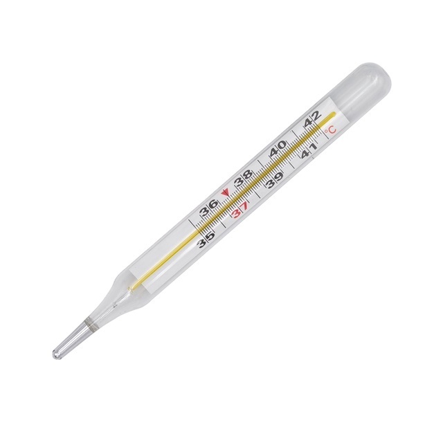 Wholesale Custom Healthcare Supplement Cheap Price Mercury Free Clinical Thermometer