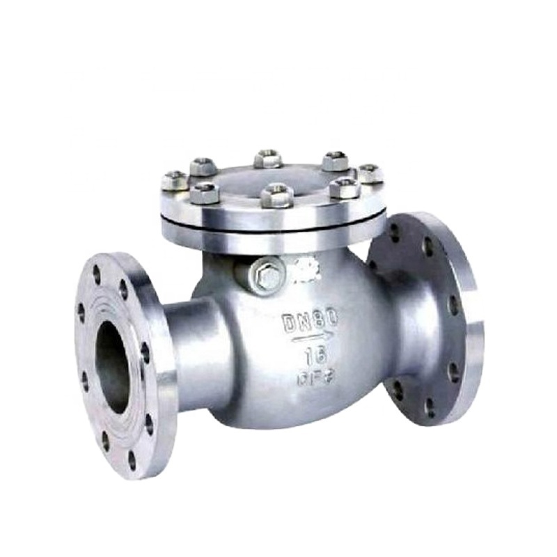 6 inch Stainless Steel Exceptional flanged back pressure retention swing check valve