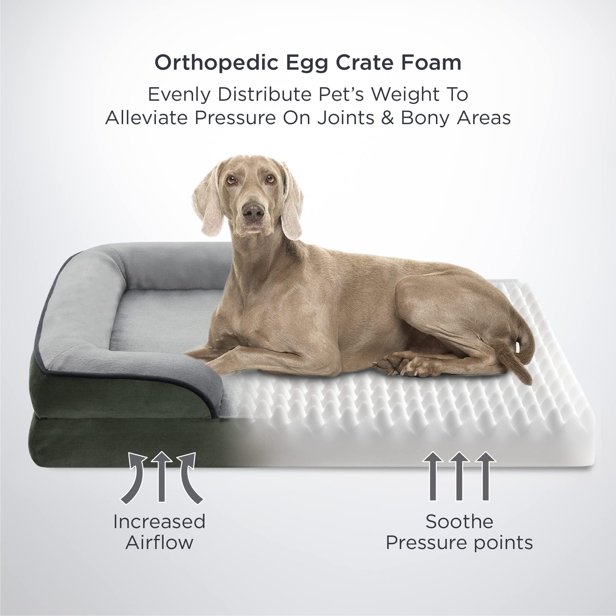 Bedsure Orthopedic Dog Pet Bed for Medium Dogs Egg crate orthopedic foam and Nonskid Bottom with Removable Washable Cover