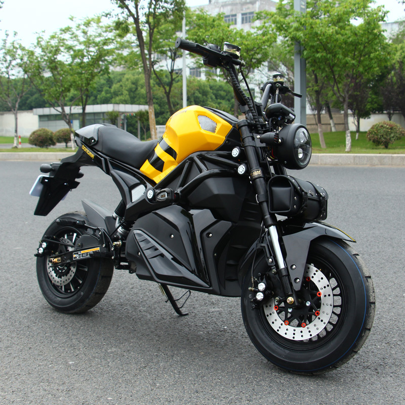 Dongma 2023 Newest Adult 2 Wheel Electric Offroad Motorcycle With Long Range