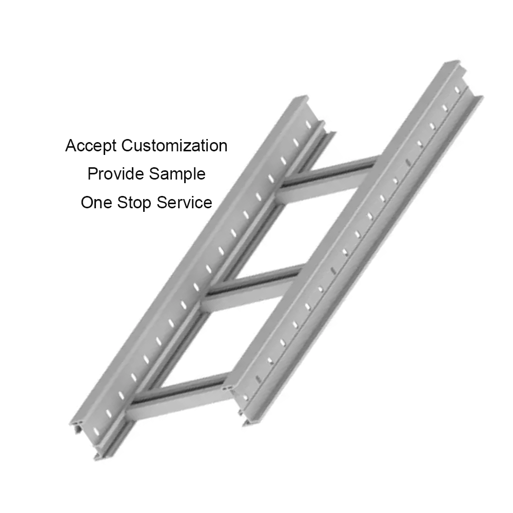 Strong Load-Bearing Capacity Wire Mesh Ladder Rack Perforated Stainless Steel Galvanized Cable Tray Ladder