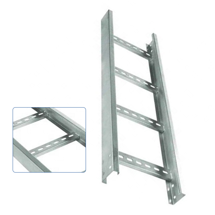 Strong Load-Bearing Capacity Wire Mesh Ladder Rack Perforated Stainless Steel Galvanized Cable Tray Ladder