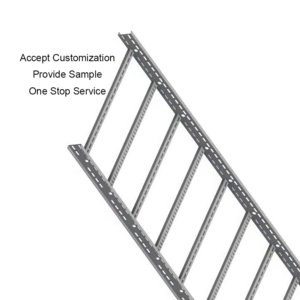 Strong Load-Bearing Capacity Wire Mesh Ladder Rack Perforated Stainless Steel Galvanized Cable Tray Ladder