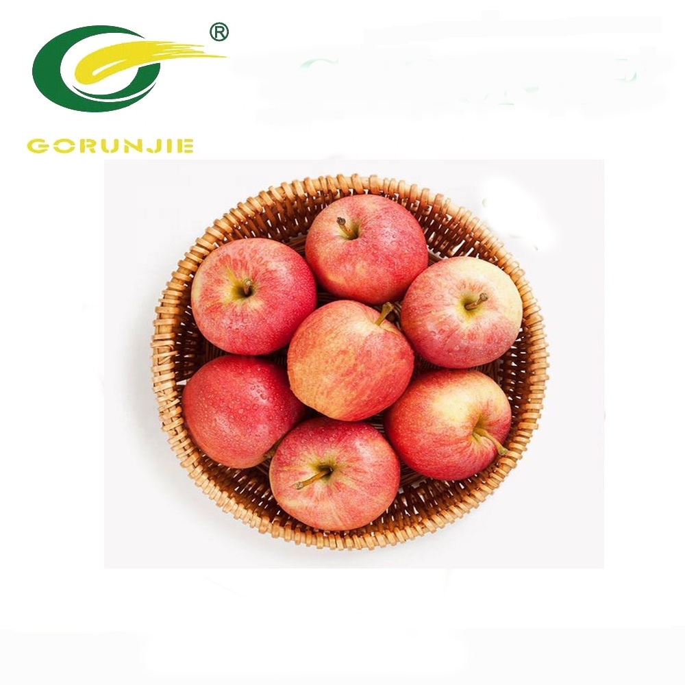 Apple Extract Powder Polyphenols 40% 80% OEM Service