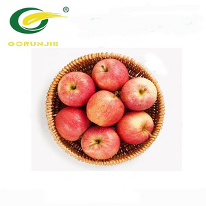 Apple Extract Powder Polyphenols 40% 80% OEM Service