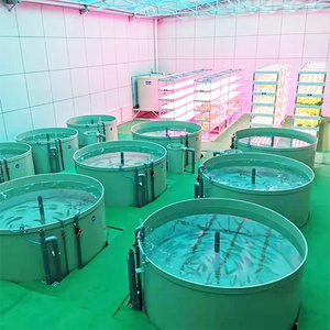 Customized Indoor Fish Farming Equipment Shrimp Farming Ras Filtration System With Different Aquaculture Equipment