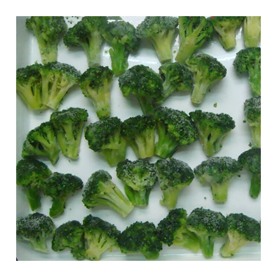 Winter Crop IQF Broccoli Frozen Broccoli Floret 4-6cm prompt delivery and free sample