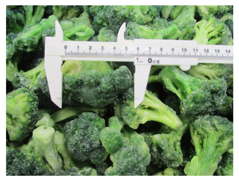 Factory Price New Crop Vegetables Kosher IQF Frozen Green Broccoli with Cut Whole Floret in Bulk Retail Packing free sample