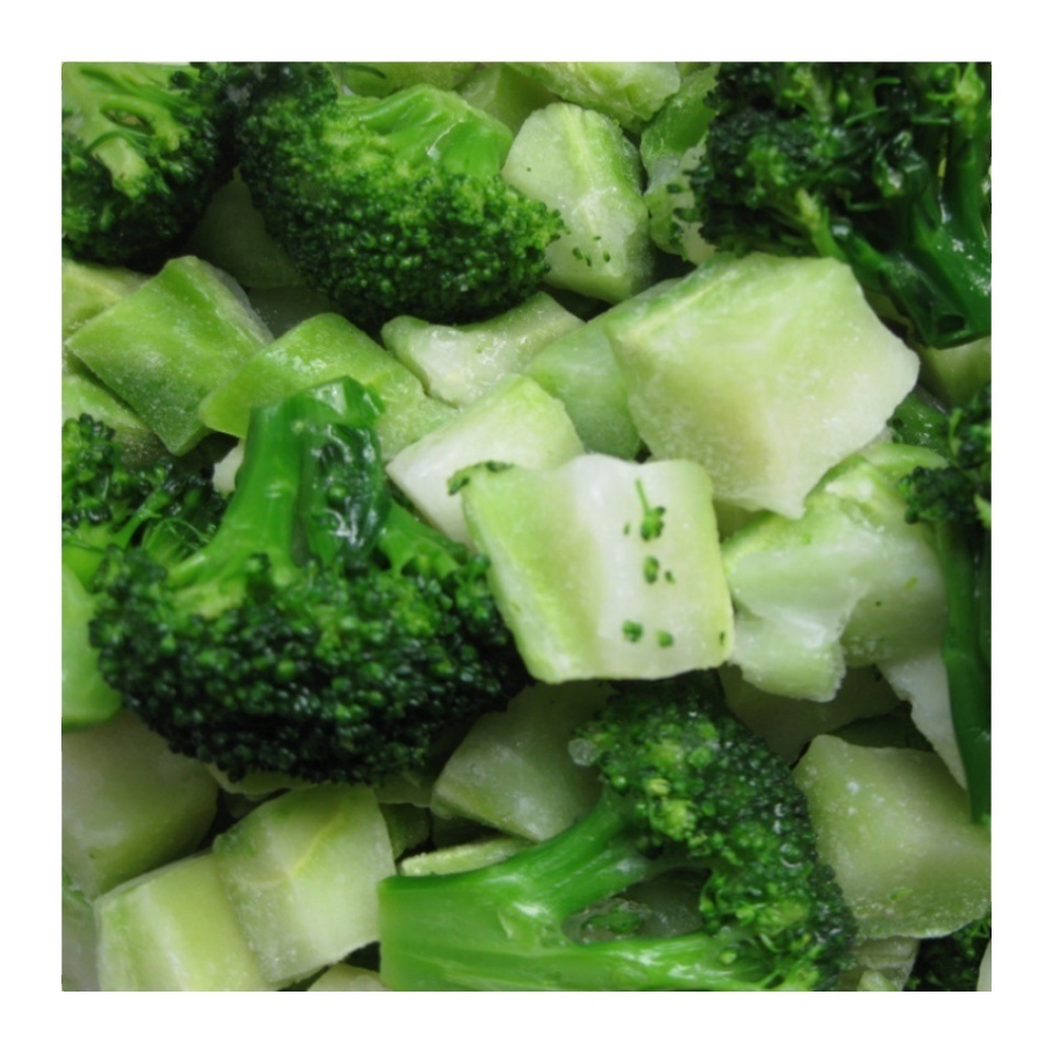 IQF Frozen Broccoli florets for wholesale in stock free sample