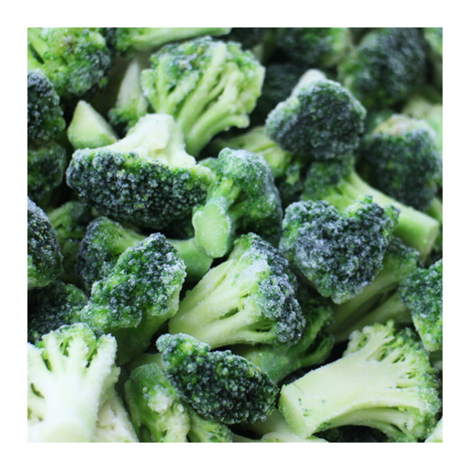 IQF Frozen Broccoli florets for wholesale in stock free sample