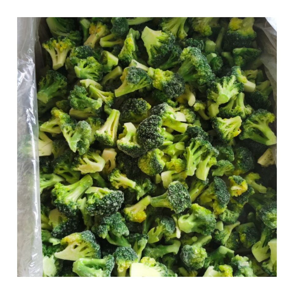 IQF Frozen Broccoli florets for wholesale in stock free sample