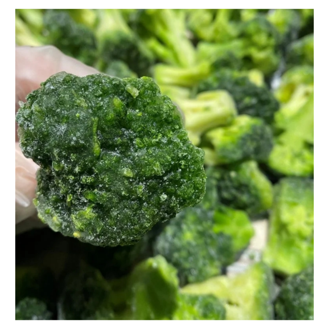 Winter Crop IQF Broccoli Frozen Broccoli Floret 4-6cm prompt delivery and free sample