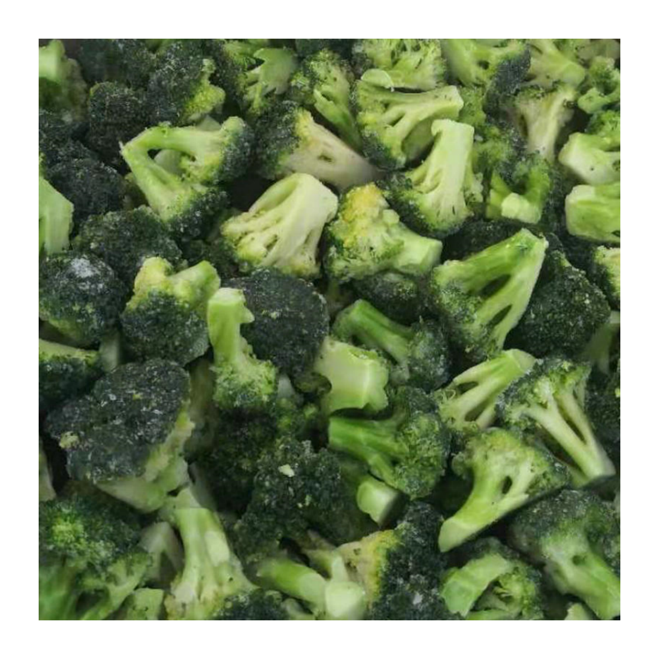 Frozen Broccoli Florets 3-5 Cm IQF broccoli cuts prompt delivery and free sample