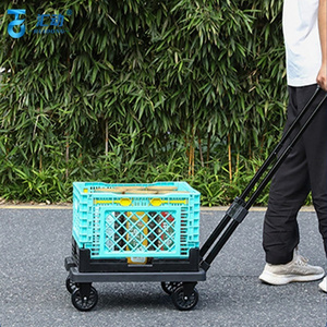 Home plastic shopping trolleys carts 100kg large capacity multi functional Grocery Cart supermarket trolleys carts folding