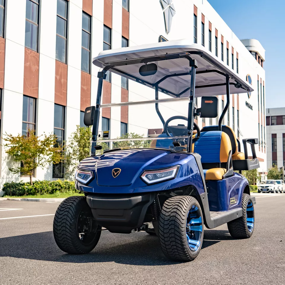 NEW Arrival LEROAD +2 Deluxe Luxury Blue and Yellow Foldable Seats Electric Golf Cart