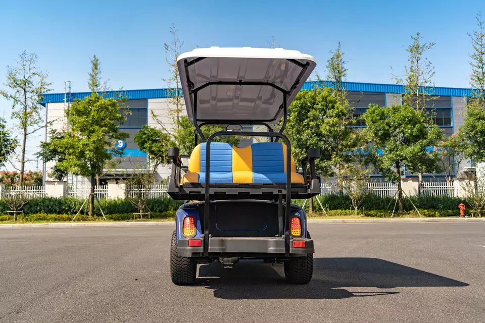 NEW Arrival LEROAD +2 Deluxe Luxury Blue and Yellow Foldable Seats Electric Golf Cart