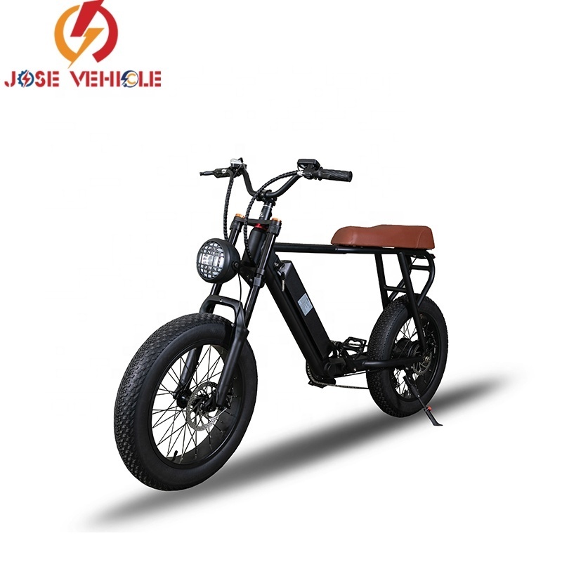 Long Seat 2 Person Electric bicycle (old) 1000w lithium bicycle electric for adult