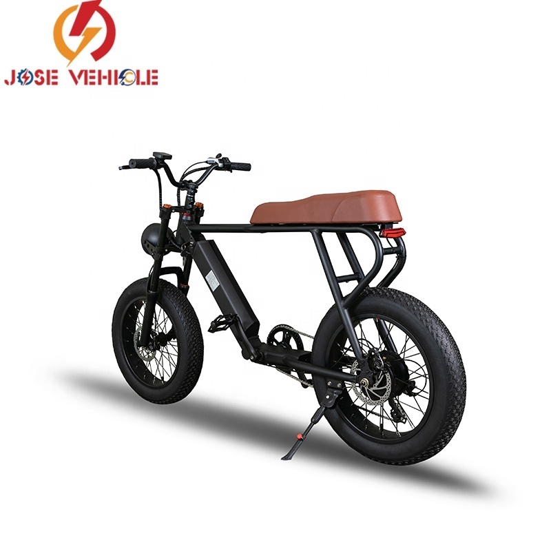 Long Seat 2 Person Electric bicycle (old) 1000w lithium bicycle electric for adult