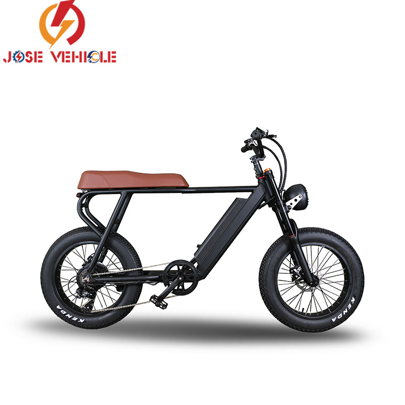 Long Seat 2 Person Electric bicycle (old) 1000w lithium bicycle electric for adult