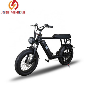 Long Seat 2 Person Electric bicycle (old) 1000w lithium bicycle electric for adult